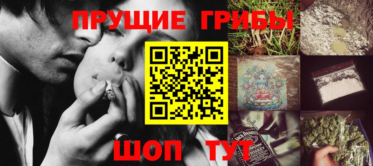 закладки  Галлюциногенные грибы Psilocybine cubensis  Вход с VPN  Северск  Галлюциногенные грибы мухоморы 